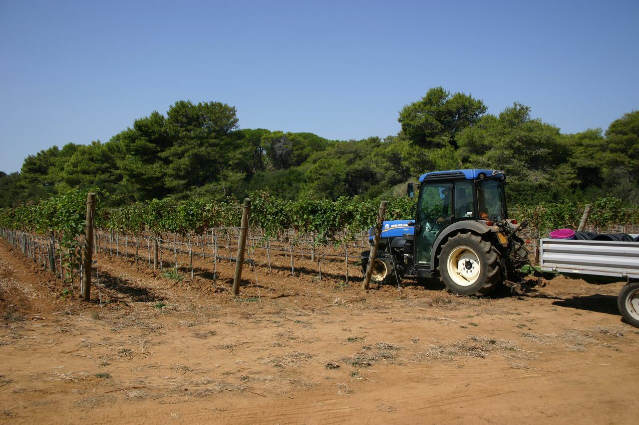 Agriturismo Vigna Corallo Otranto Dış mekan fotoğraf