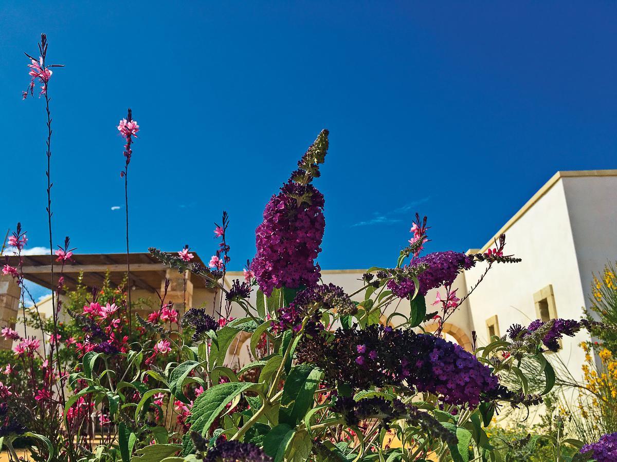 Agriturismo Vigna Corallo Otranto Dış mekan fotoğraf